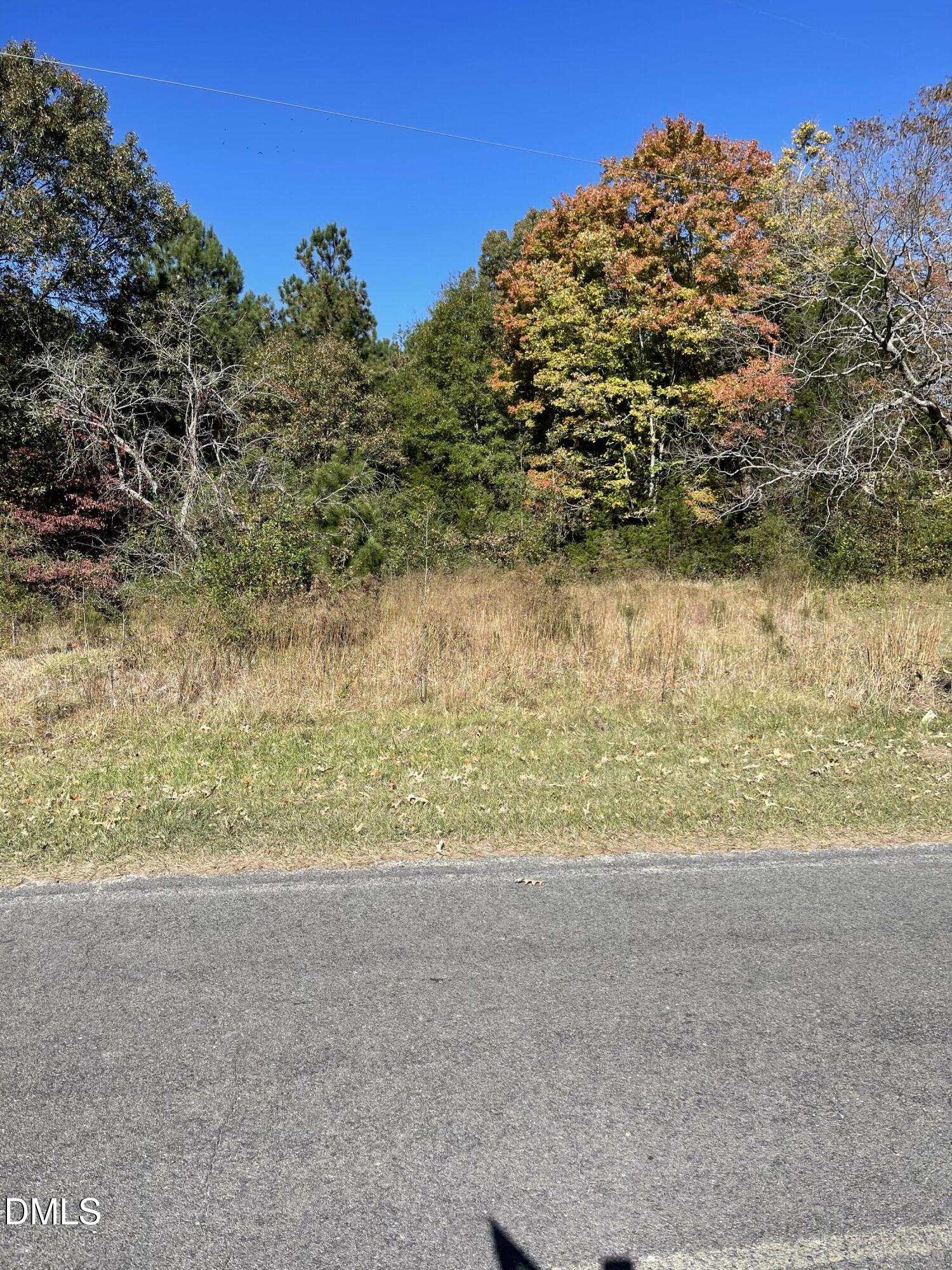 0 Beasley Road Louisburg, NC 27549 - Photo 10 of 10