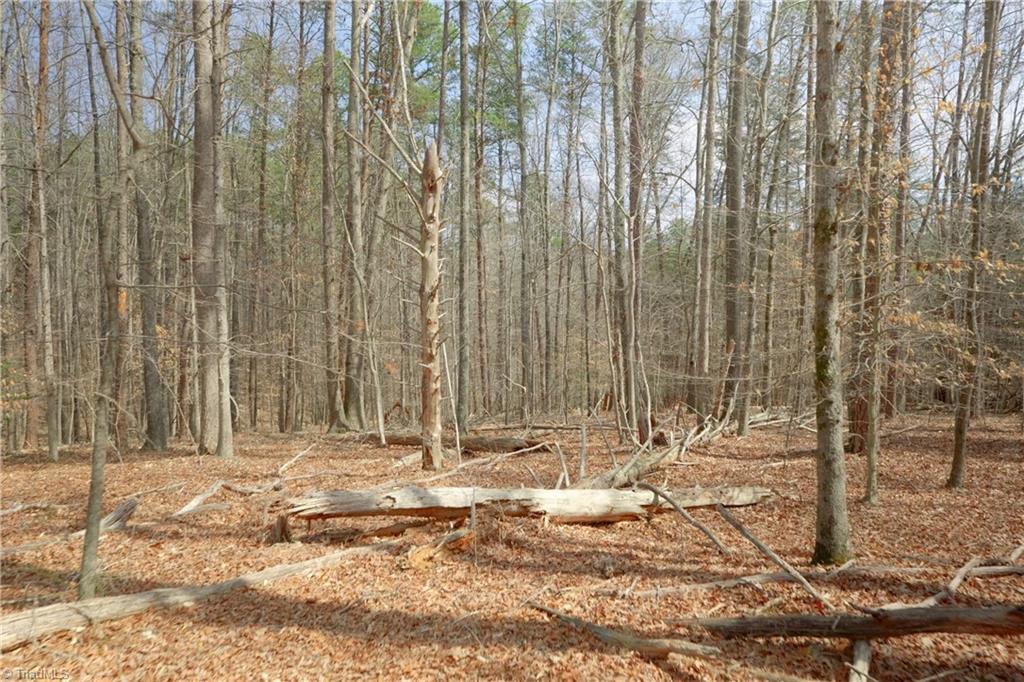 1019-3 George Road Westfield, NC 27053 - Photo 6 of 16 Gallery Image 6