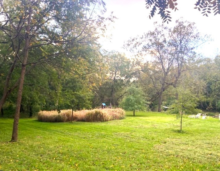 5603 Emerson Road Sterling, IL 61081 - Photo 5 of 22 a backyard of a house with a yard and fountain