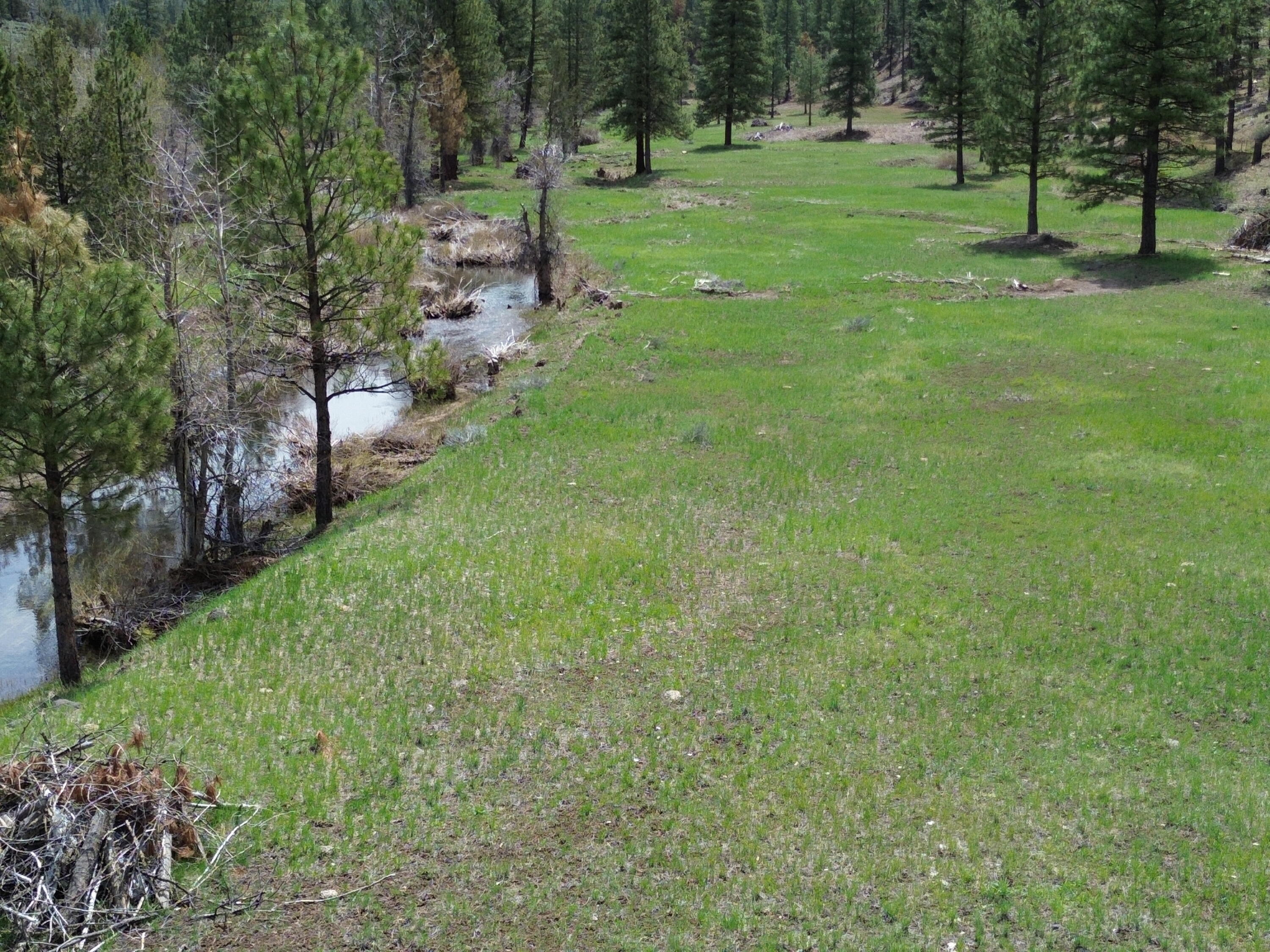 0 Roney Flat Road Lookout, CA 96054 - Photo 3 of 26 Johnson Creek Meadow