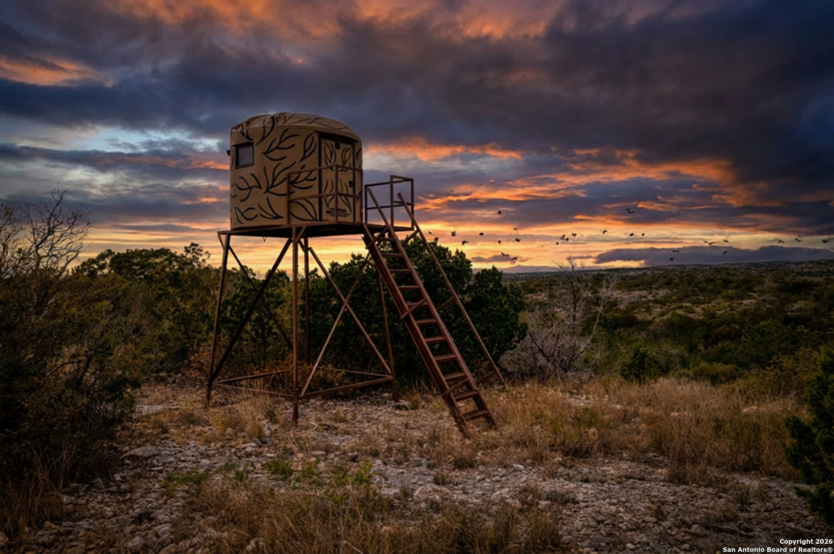 a view of a outdoor space