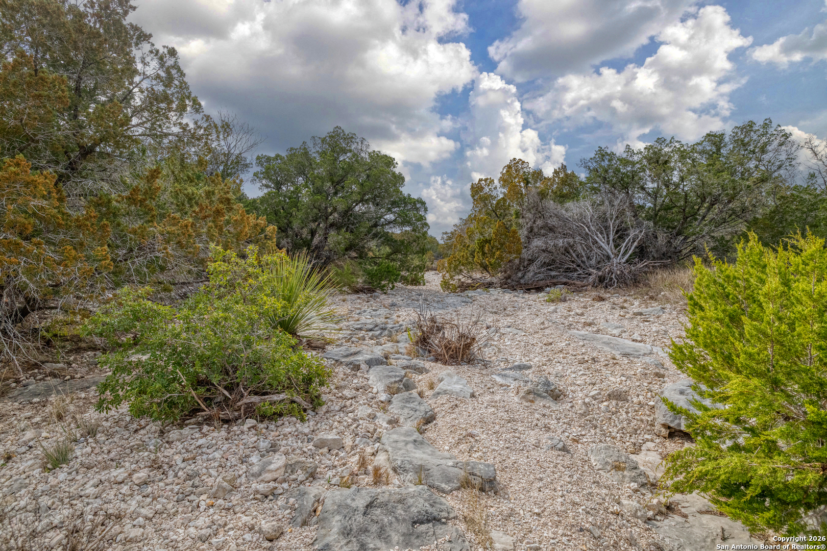 25 Sd 65065 Dusty Rose Ranch Rocksprings, TX 78880 - Photo 17 of 59 a view of a yard with plants and trees