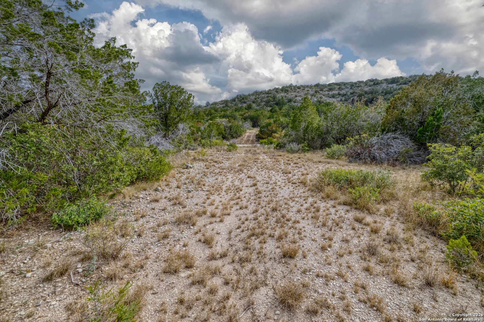 25 Sd 65065 Dusty Rose Ranch Rocksprings, TX 78880 - Photo 20 of 59 a view of a pathway both side of grassy field with shrub