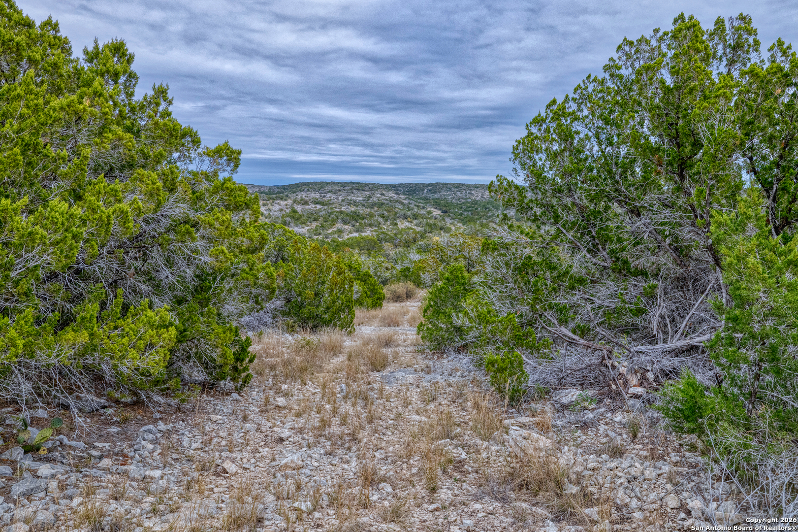 25 Sd 65065 Dusty Rose Ranch Rocksprings, TX 78880 - Photo 21 of 59 a view of a yard with plants and a tree