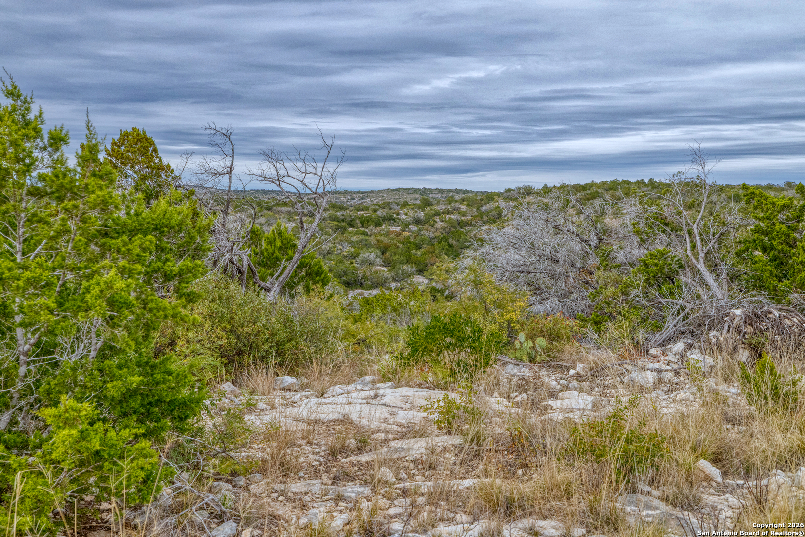 25 Sd 65065 Dusty Rose Ranch Rocksprings, TX 78880 - Photo 26 of 59 a view of a yard with plants and a fountain in back