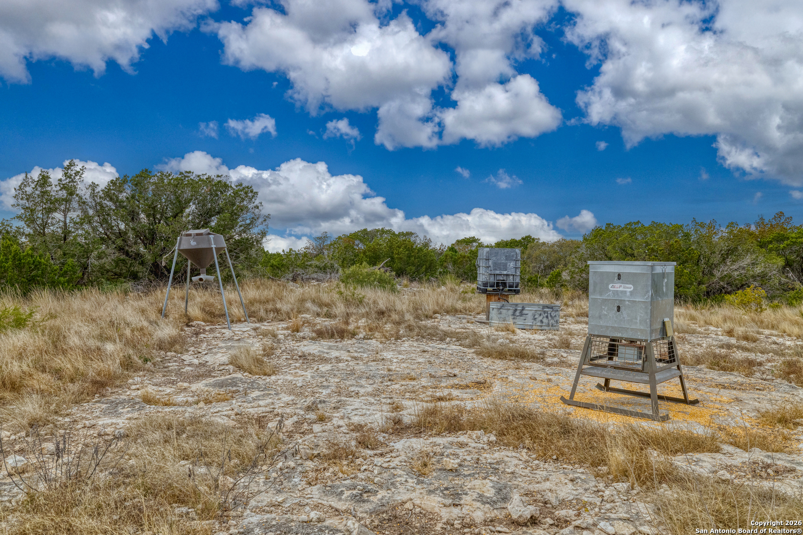 25 Sd 65065 Dusty Rose Ranch Rocksprings, TX 78880 - Photo 30 of 59
