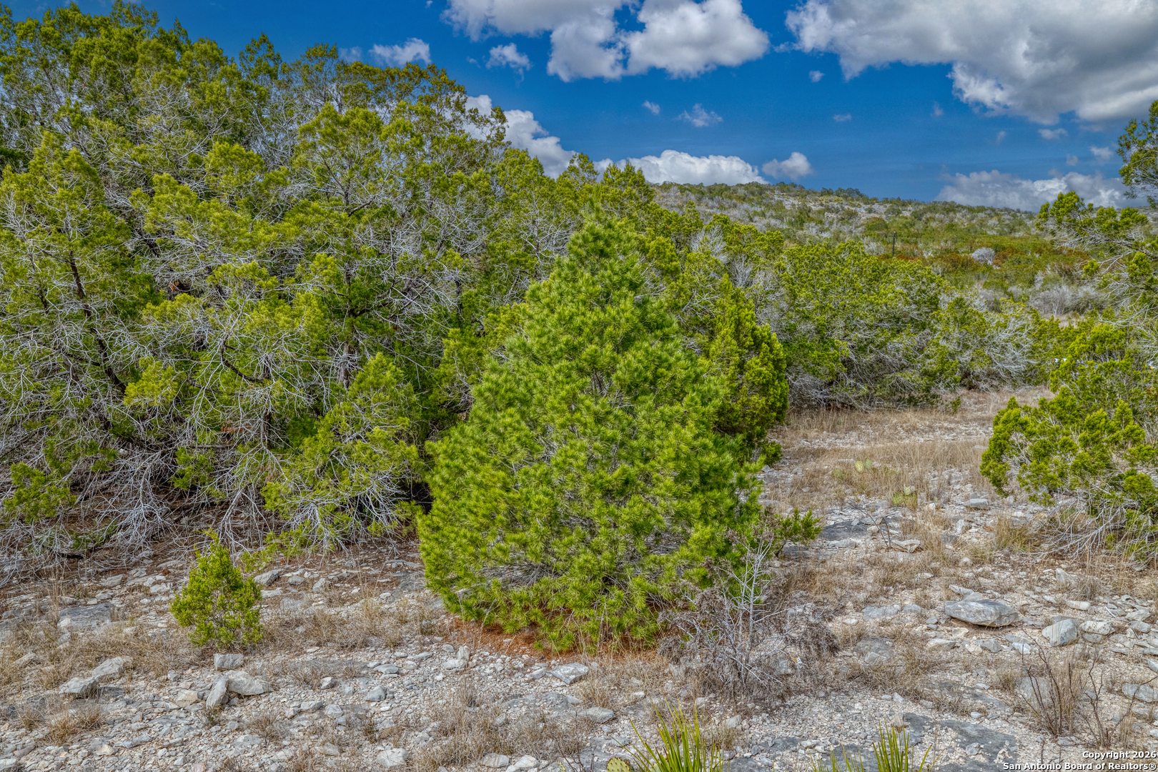 25 Sd 65065 Dusty Rose Ranch Rocksprings, TX 78880 - Photo 33 of 59 a view of a yard