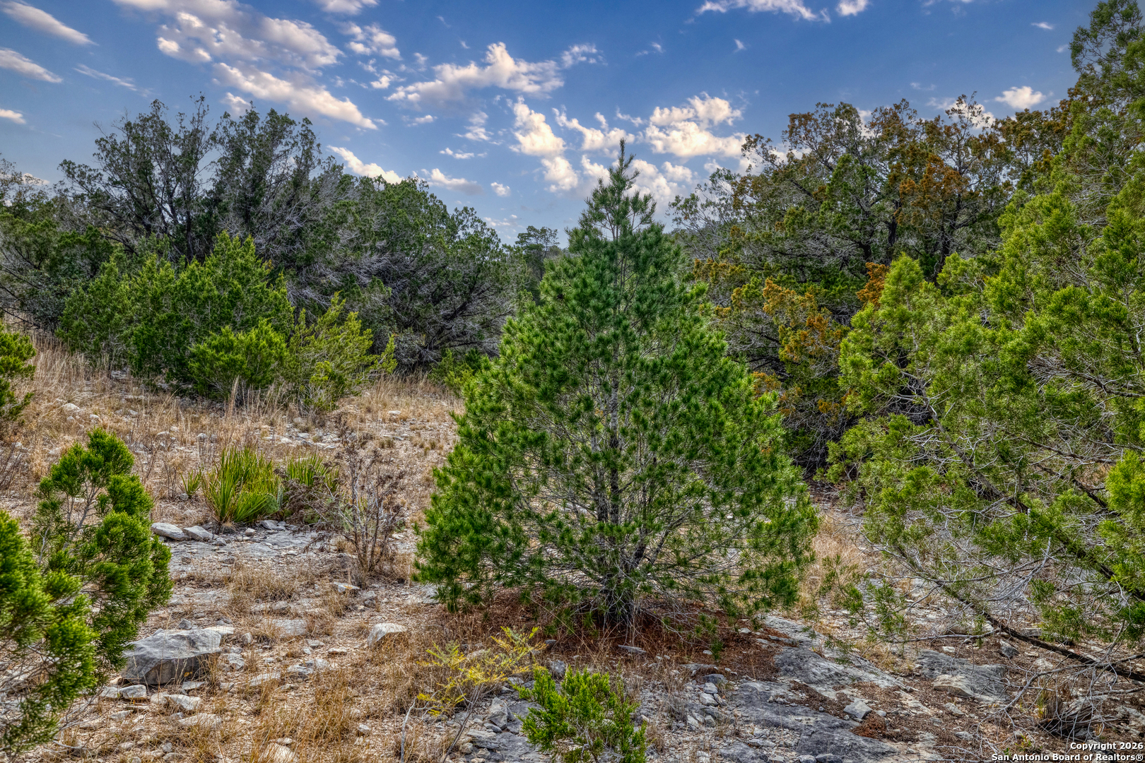 25 Sd 65065 Dusty Rose Ranch Rocksprings, TX 78880 - Photo 34 of 59 a view of a yard in a yard