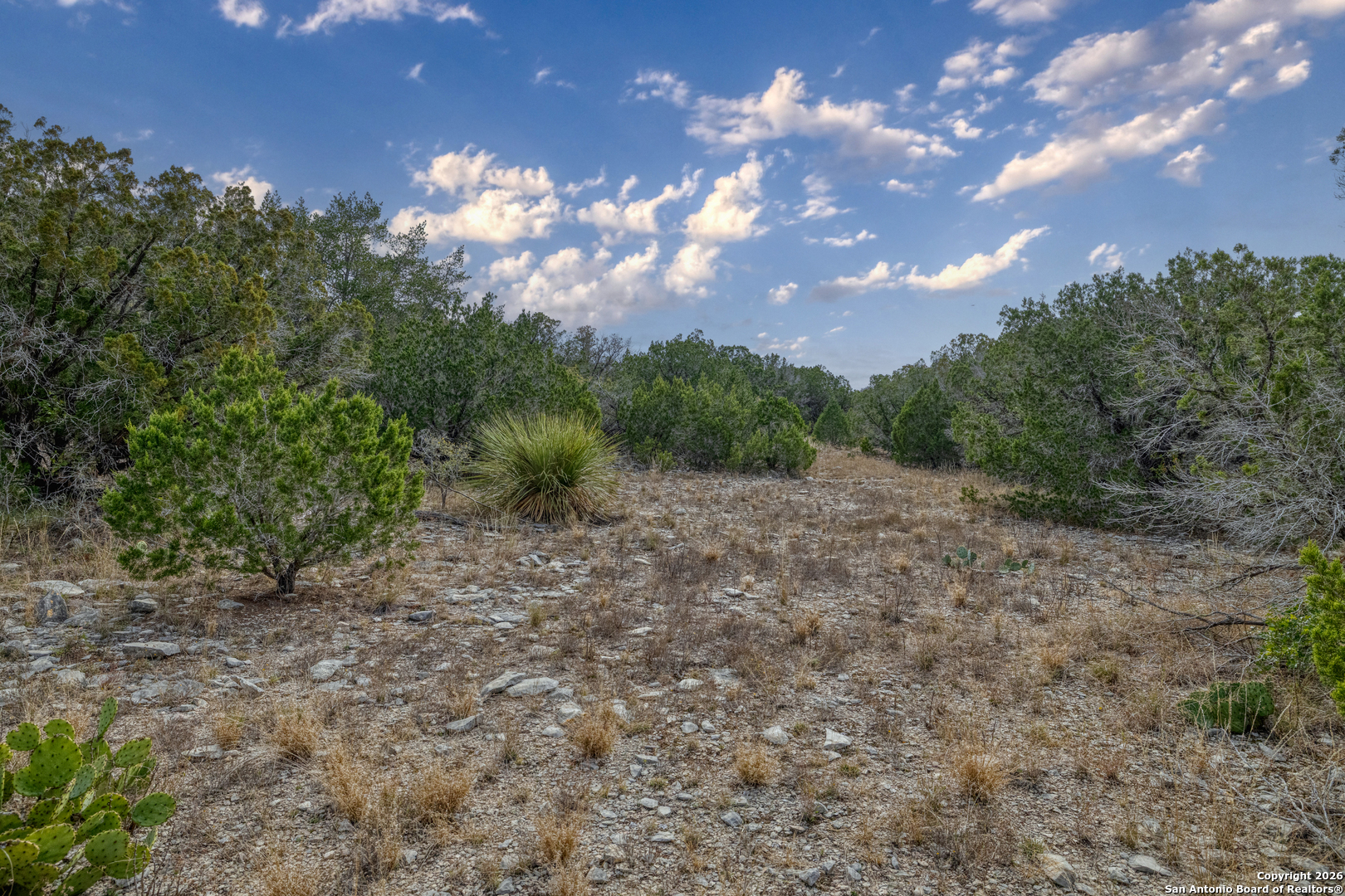 25 Sd 65065 Dusty Rose Ranch Rocksprings, TX 78880 - Photo 35 of 59 a view of a yard with a tree