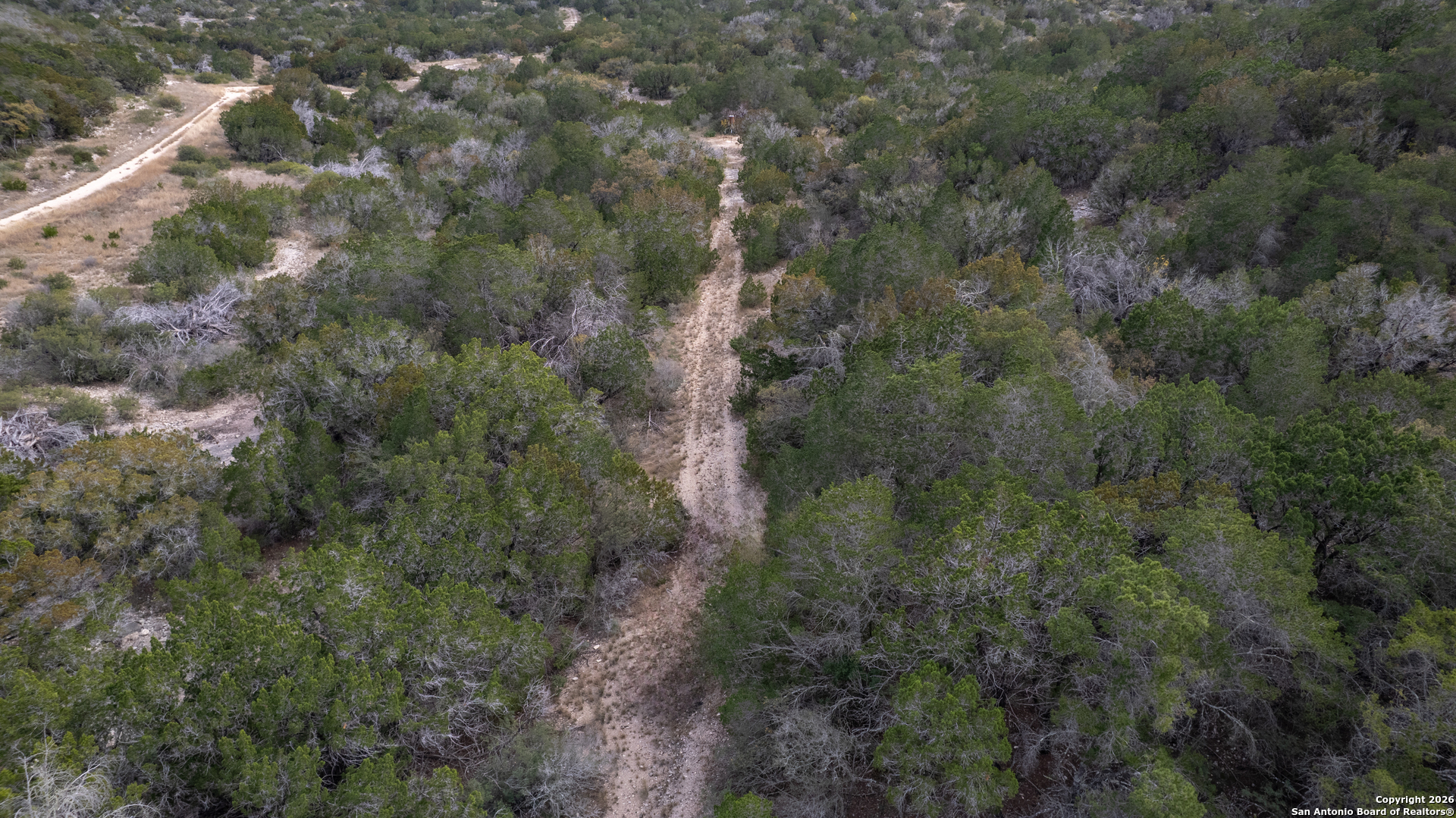 25 Sd 65065 Dusty Rose Ranch Rocksprings, TX 78880 - Photo 36 of 59 a view of a forest with lots of trees