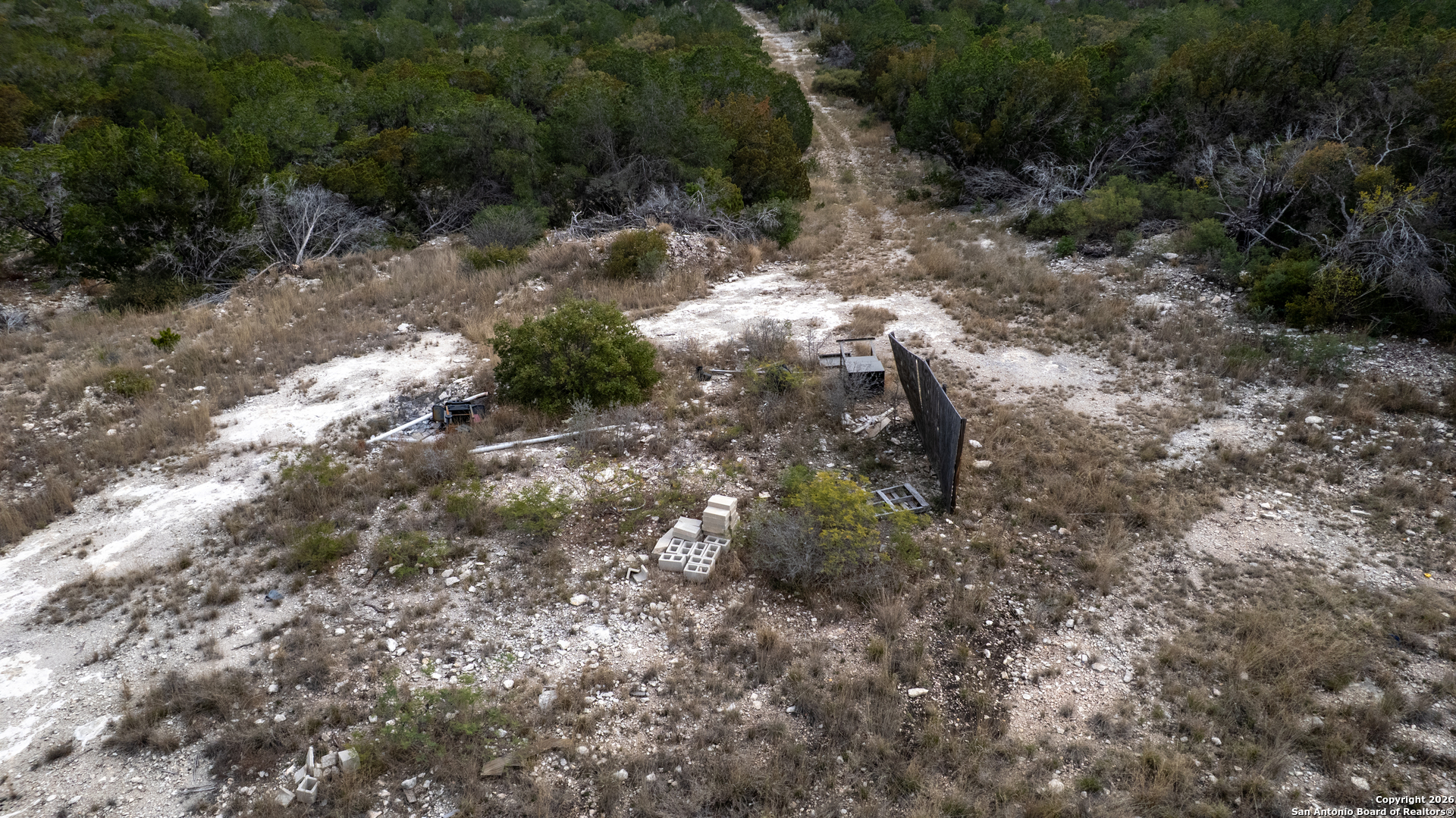 25 Sd 65065 Dusty Rose Ranch Rocksprings, TX 78880 - Photo 37 of 59 a view of a forest with a tree