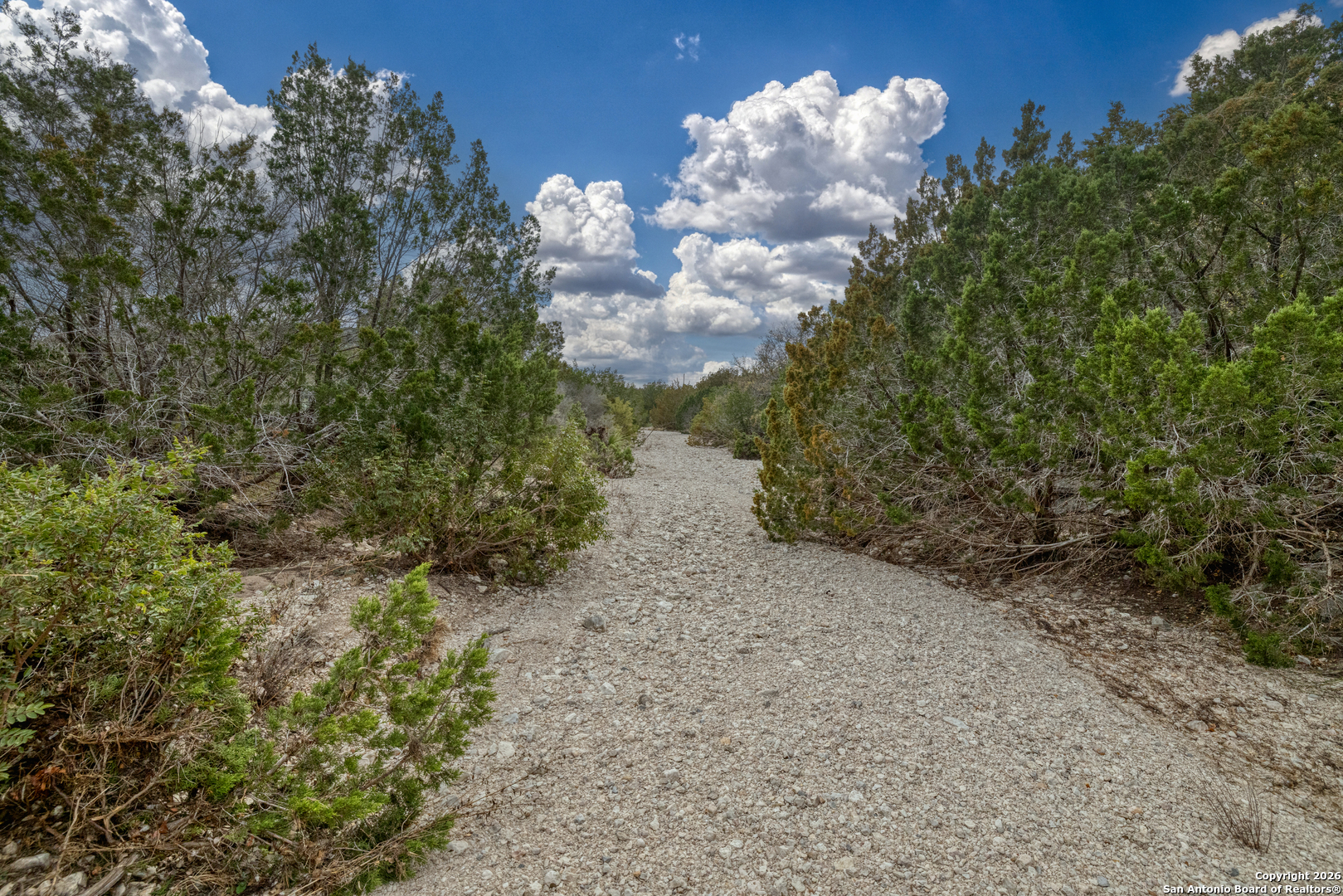 25 Sd 65065 Dusty Rose Ranch Rocksprings, TX 78880 - Photo 4 of 59
