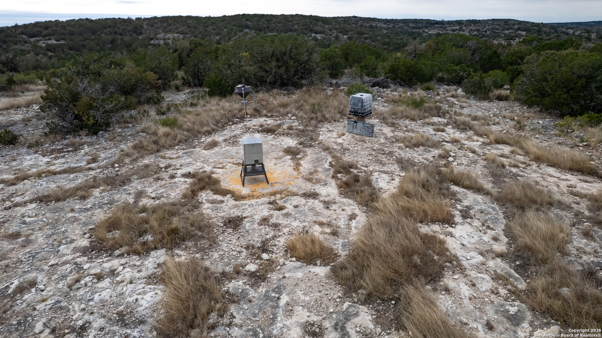 25 Sd 65065 Dusty Rose Ranch Rocksprings, TX 78880 - Photo 42 of 59 a view of a forest with a tree
