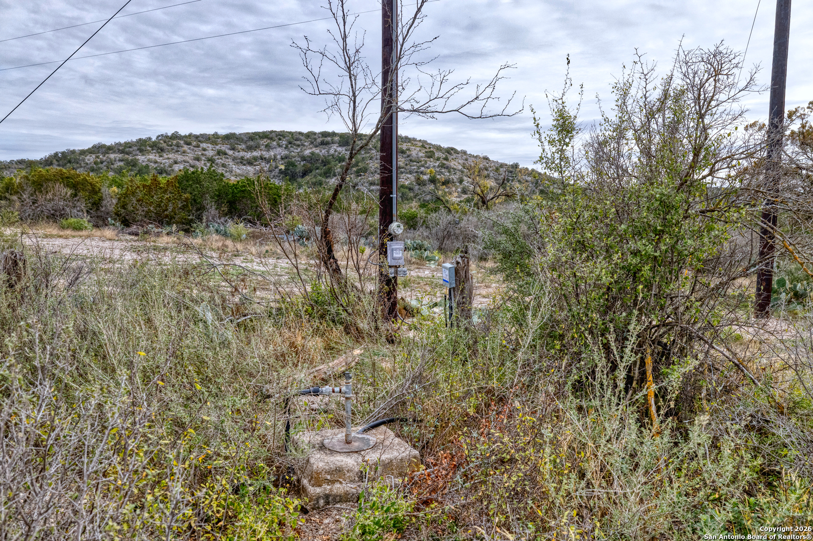 25 Sd 65065 Dusty Rose Ranch Rocksprings, TX 78880 - Photo 43 of 59 a view of a forest filled with trees