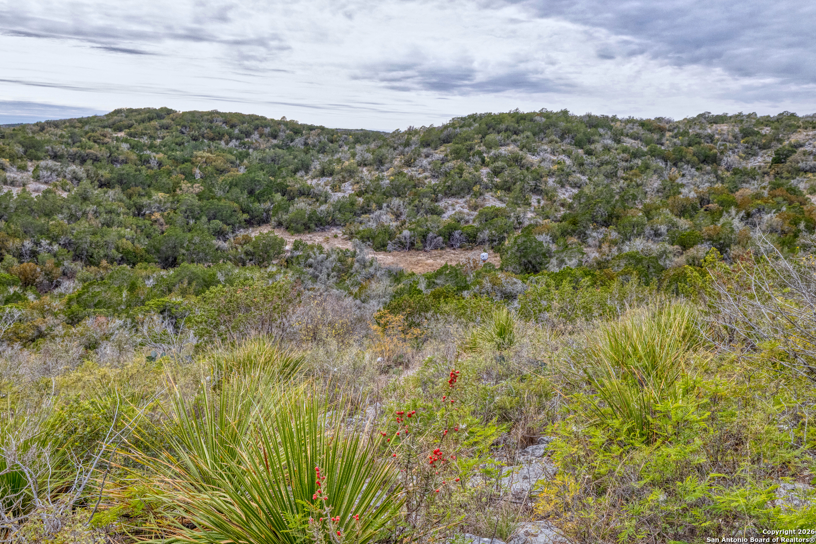 25 Sd 65065 Dusty Rose Ranch Rocksprings, TX 78880 - Photo 48 of 59 a view of a city with lush green forest