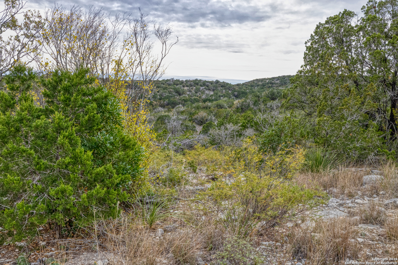 25 Sd 65065 Dusty Rose Ranch Rocksprings, TX 78880 - Photo 50 of 59 a view of a field of grass and trees