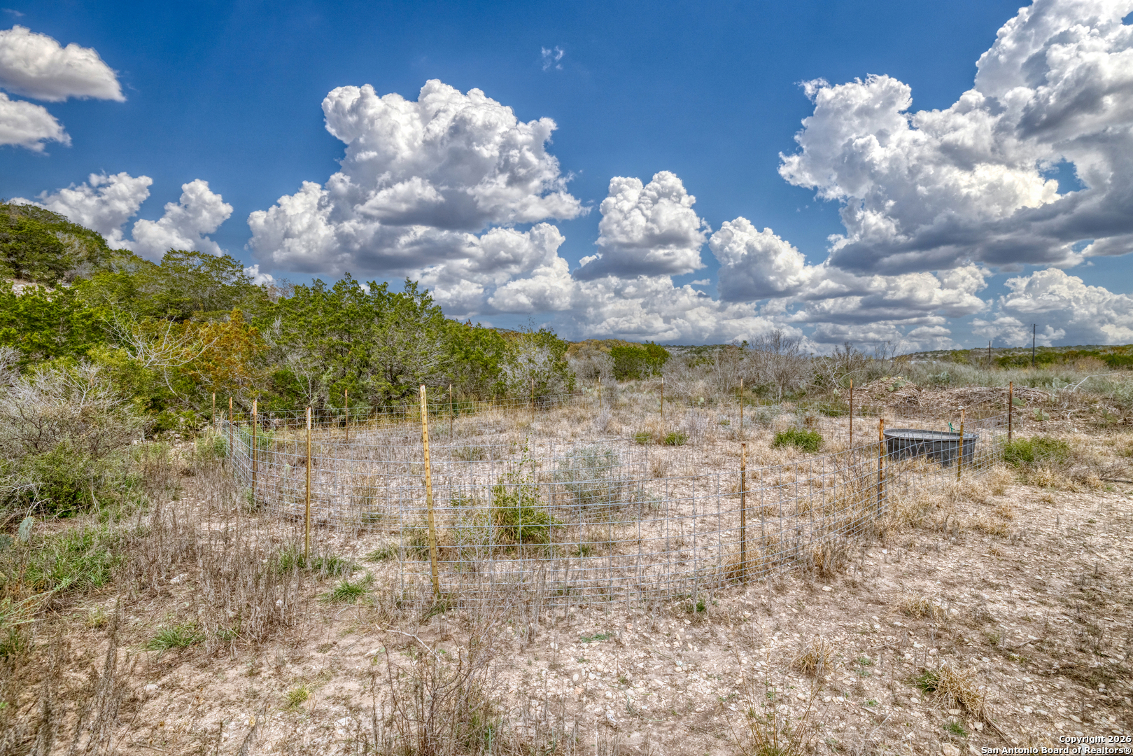25 Sd 65065 Dusty Rose Ranch Rocksprings, TX 78880 - Photo 5 of 59 a view of a flower in a yard