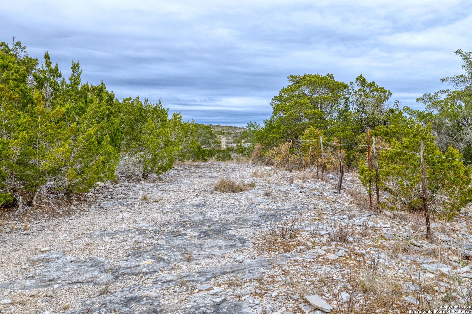 25 Sd 65065 Dusty Rose Ranch Rocksprings, TX 78880 - Photo 51 of 59 a view of a yard with a tree