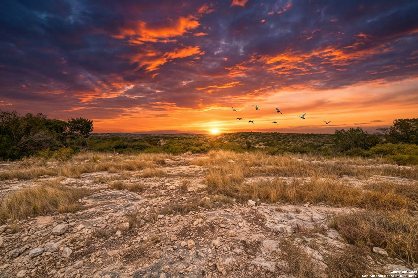25 Sd 65065 Dusty Rose Ranch Rocksprings, TX 78880 - Photo 58 of 59
