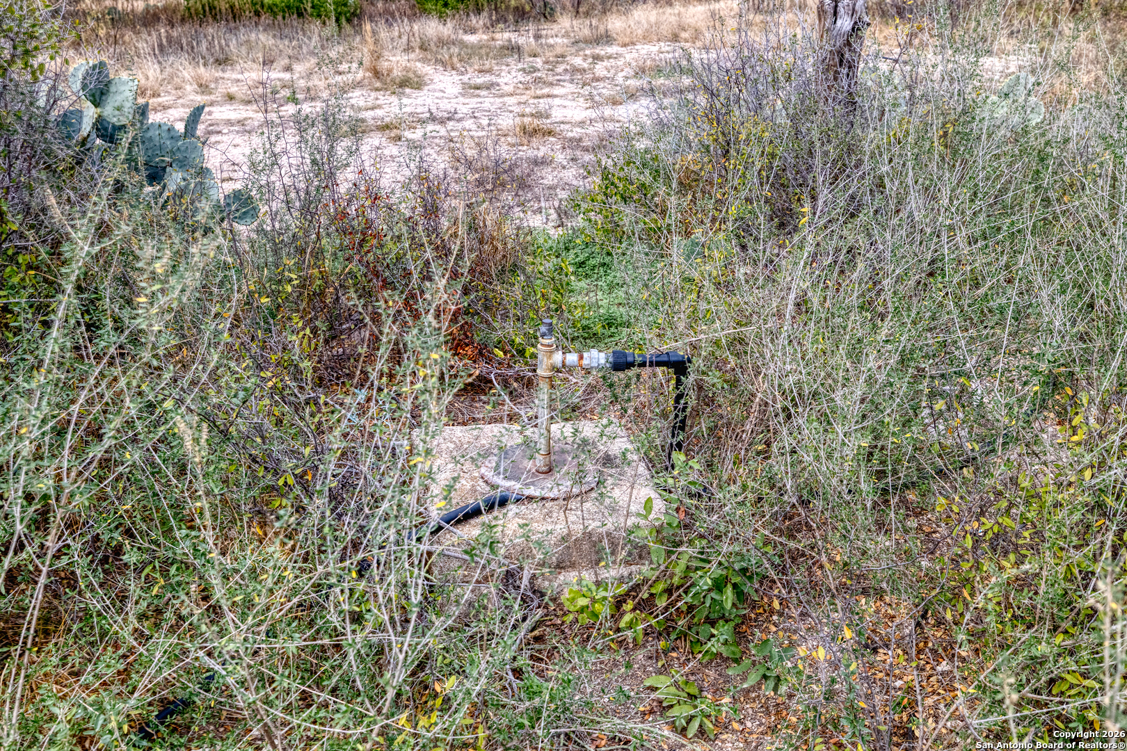 25 Sd 65065 Dusty Rose Ranch Rocksprings, TX 78880 - Photo 6 of 59 a view of outdoor space and a yard