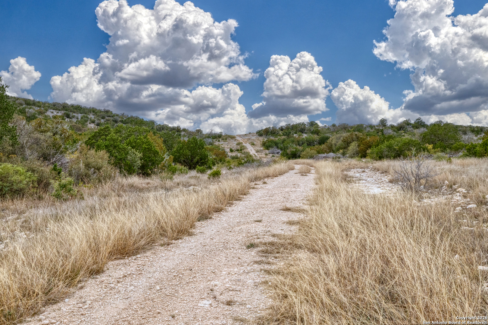 25 Sd 65065 Dusty Rose Ranch Rocksprings, TX 78880 - Photo 7 of 59 a view of a dry yard with wooden fence
