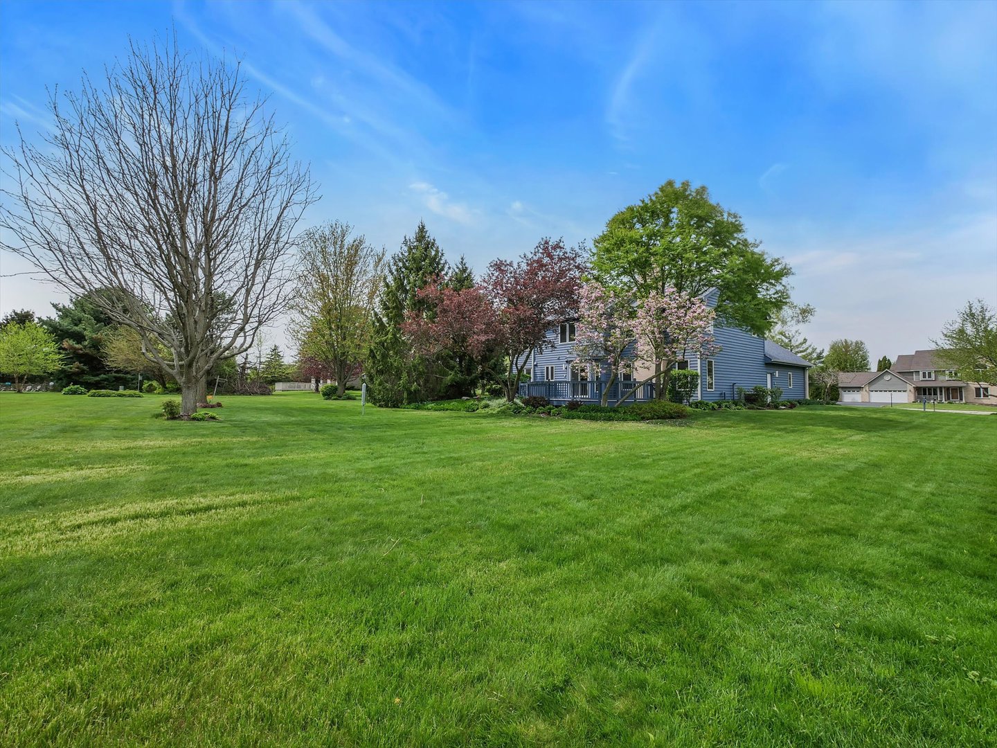 1515 Pine Street Spring Grove, IL 60081 - Photo 11 of 38 a view of yard with trees