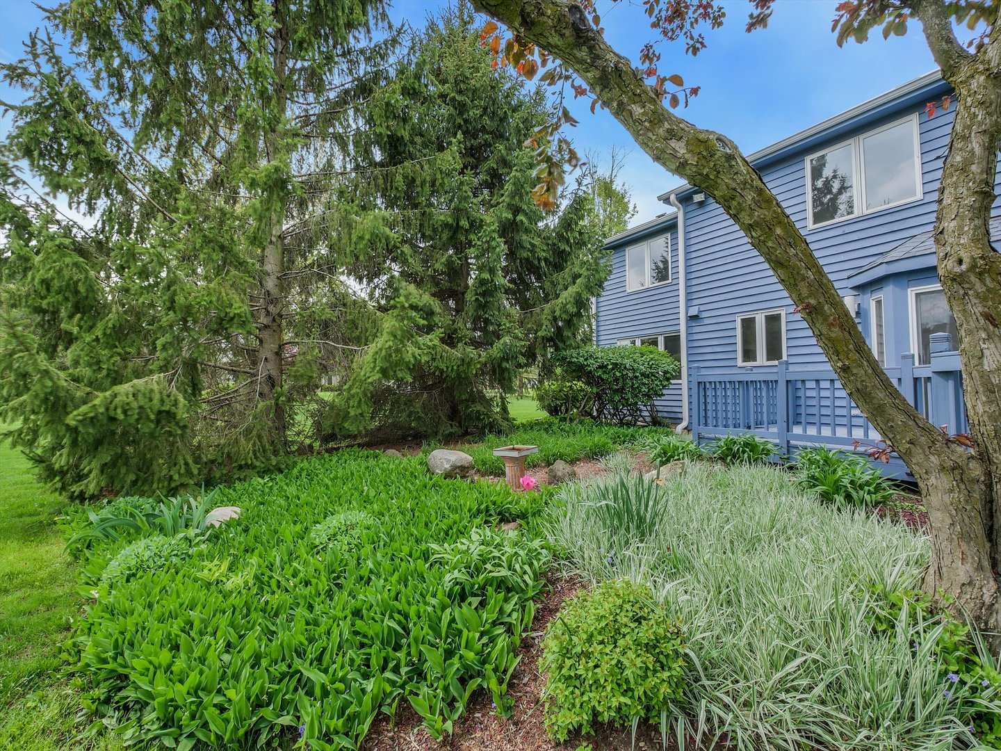1515 Pine Street Spring Grove, IL 60081 - Photo 12 of 38 a view of a backyard with plants and large tree