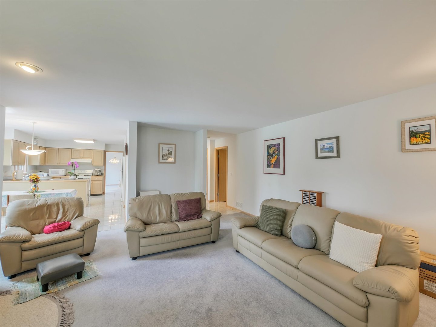 1515 Pine Street Spring Grove, IL 60081 - Photo 23 of 38 a living room with furniture and a couch