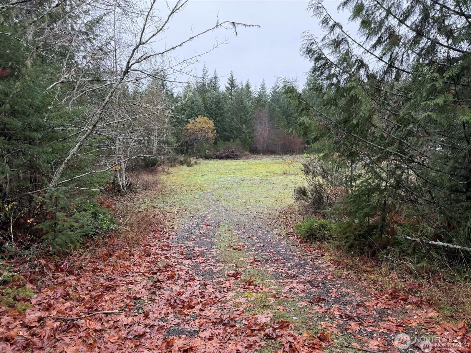 3791 Northeast Sand Hill Road Belfair, WA 98528 - Photo 1 of 1