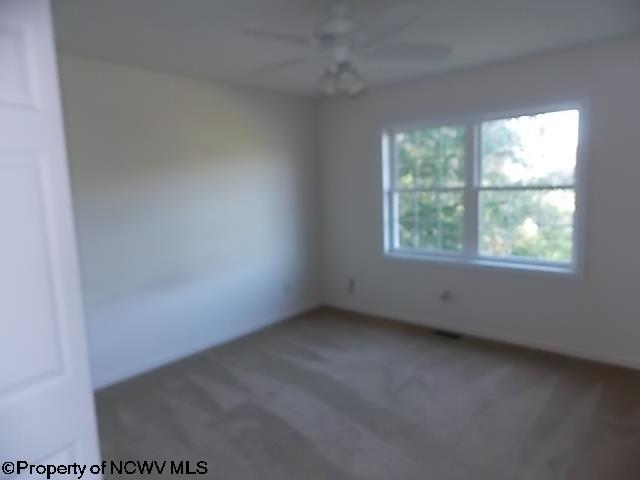 720 Guseman School Road Albright, WV 26519 - Photo 6 of 13 Gallery Image 6