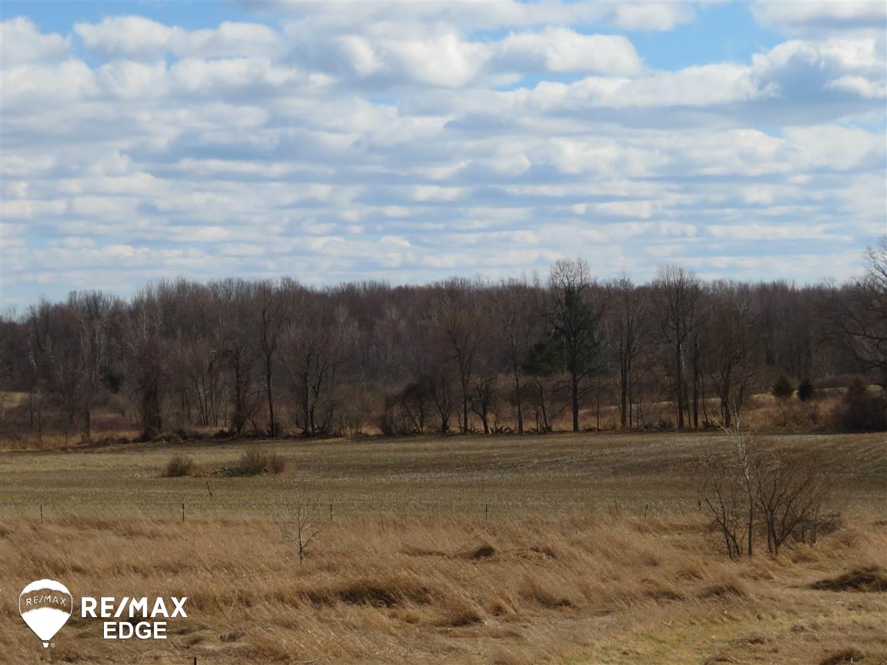 4486 Fish Lake Road North Branch, MI 48461 - Photo 20 of 22 50007014-19.JPG