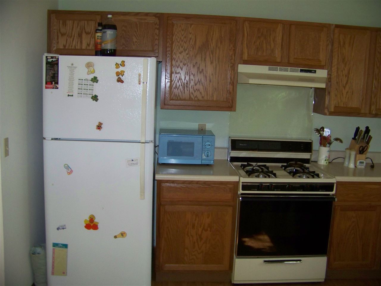 55810 Elder Road Mishawaka, IN 46545 - Photo 16 of 36 Gallery Image 16