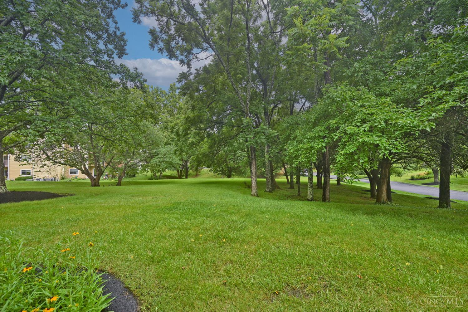 1009 Cedar Ridge Drive, Unit 4 Cincinnati, OH 45245 - Photo 34 of 45