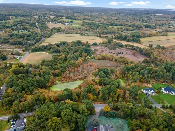 an aerial view of forest