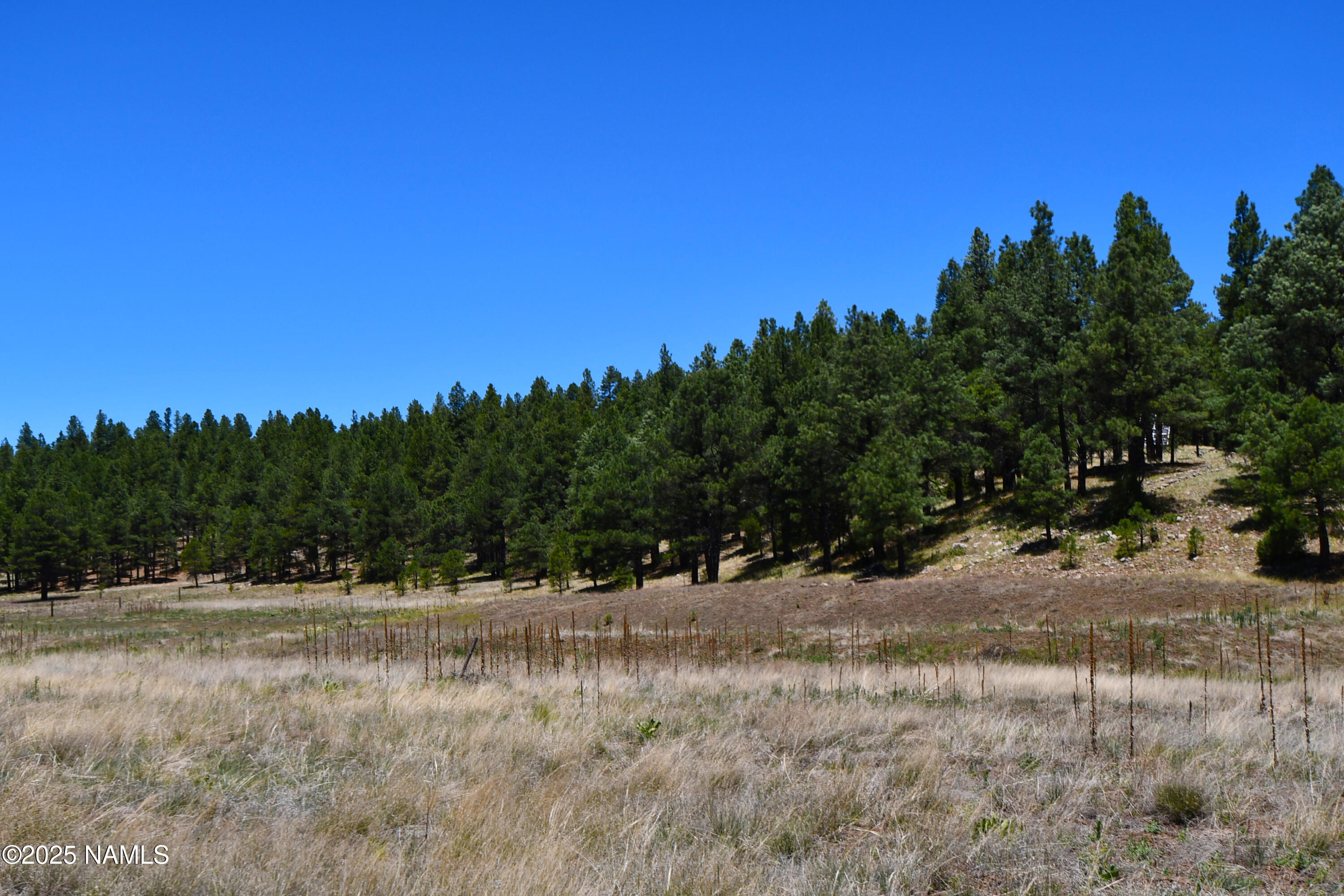 1539 Homestead Road Flagstaff, AZ 86005 - Photo 2 of 9 2
