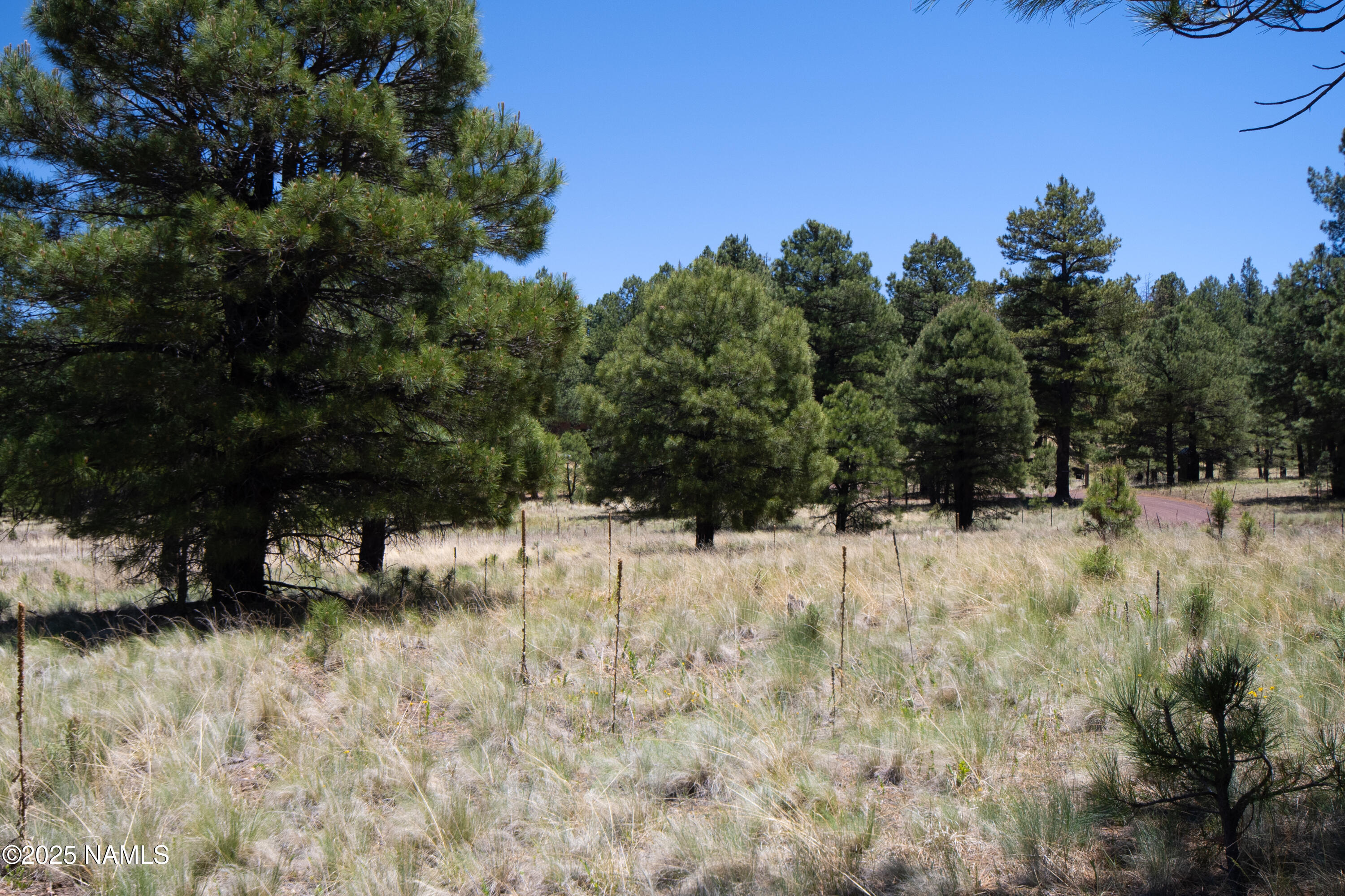 1539 Homestead Road Flagstaff, AZ 86005 - Photo 3 of 9 3