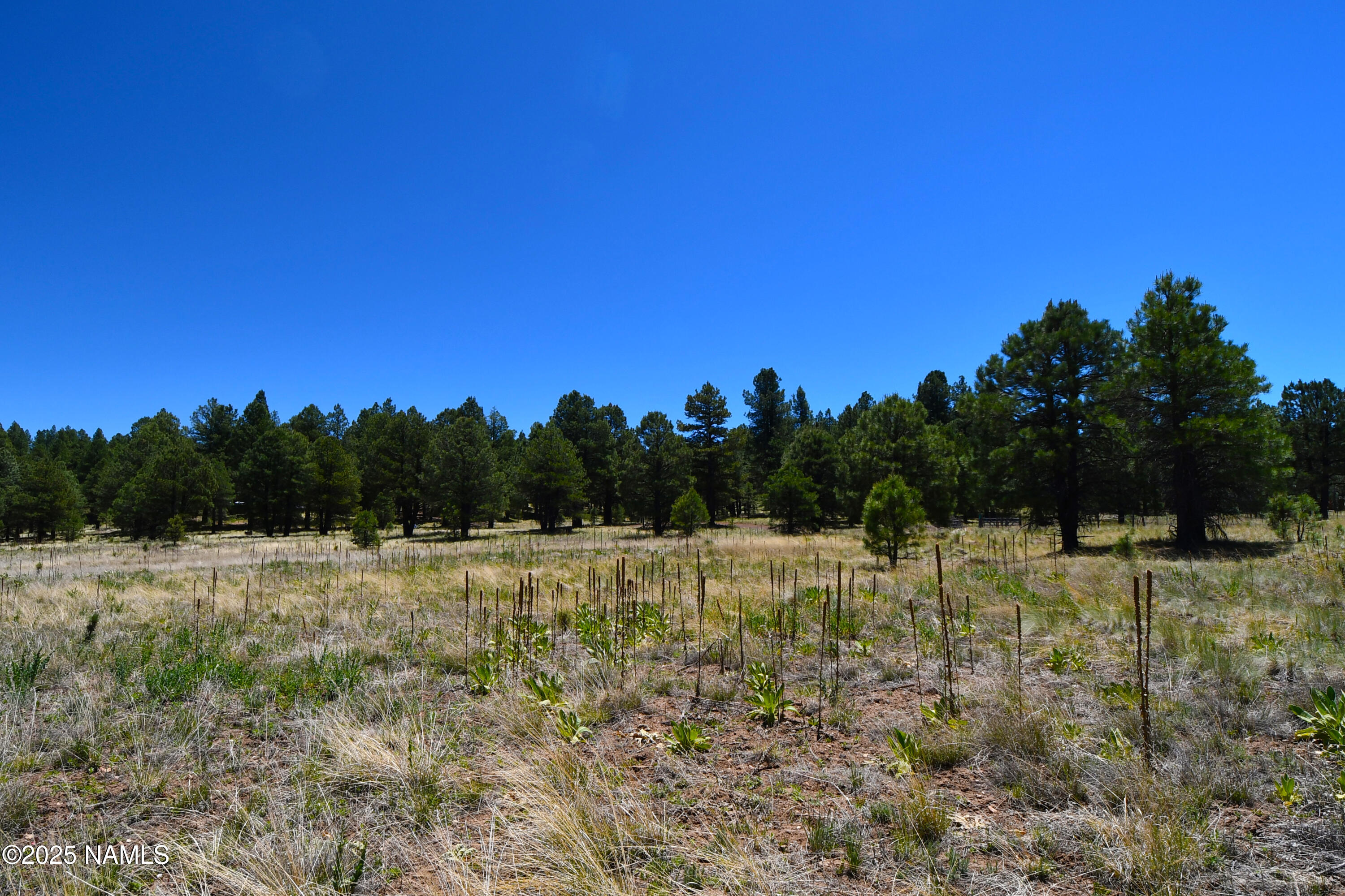 1539 Homestead Road Flagstaff, AZ 86005 - Photo 5 of 9 7
