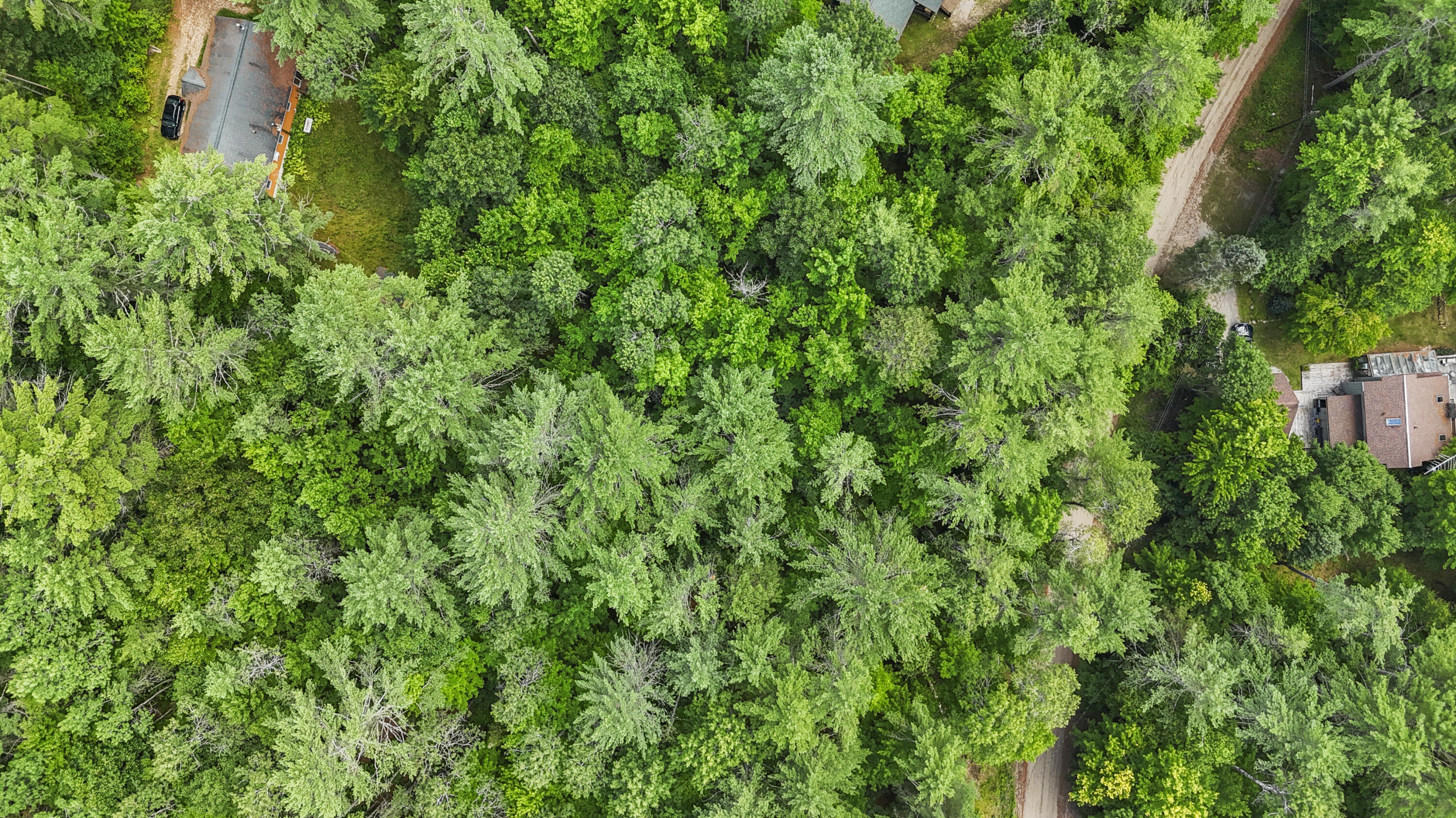 0 River Road Jay, NY 12941 - Photo 6 of 7 DJI_20250721145004_0042_D_