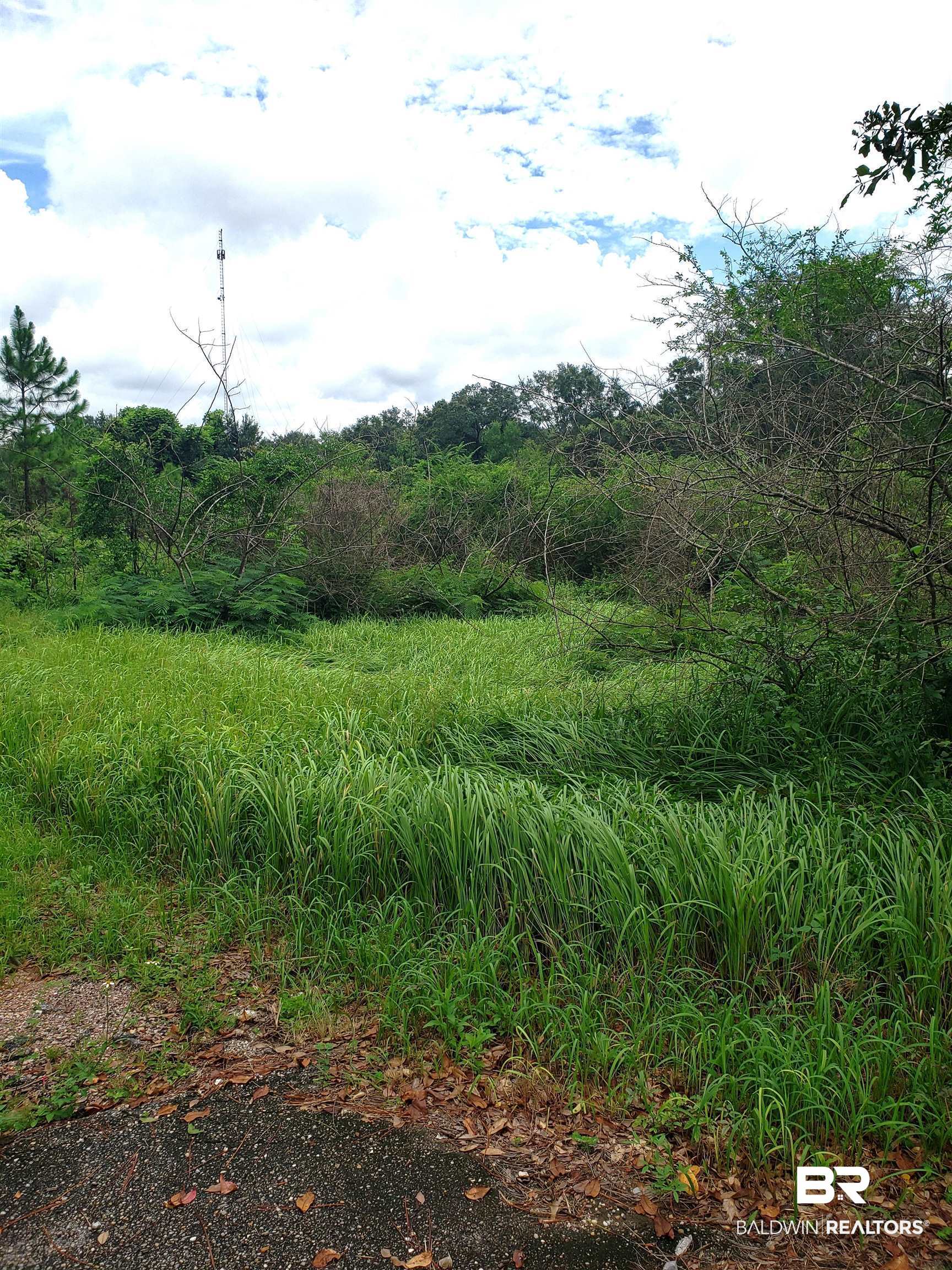 0 McLeod Road Mobile, AL 36695 - Photo 3 of 3