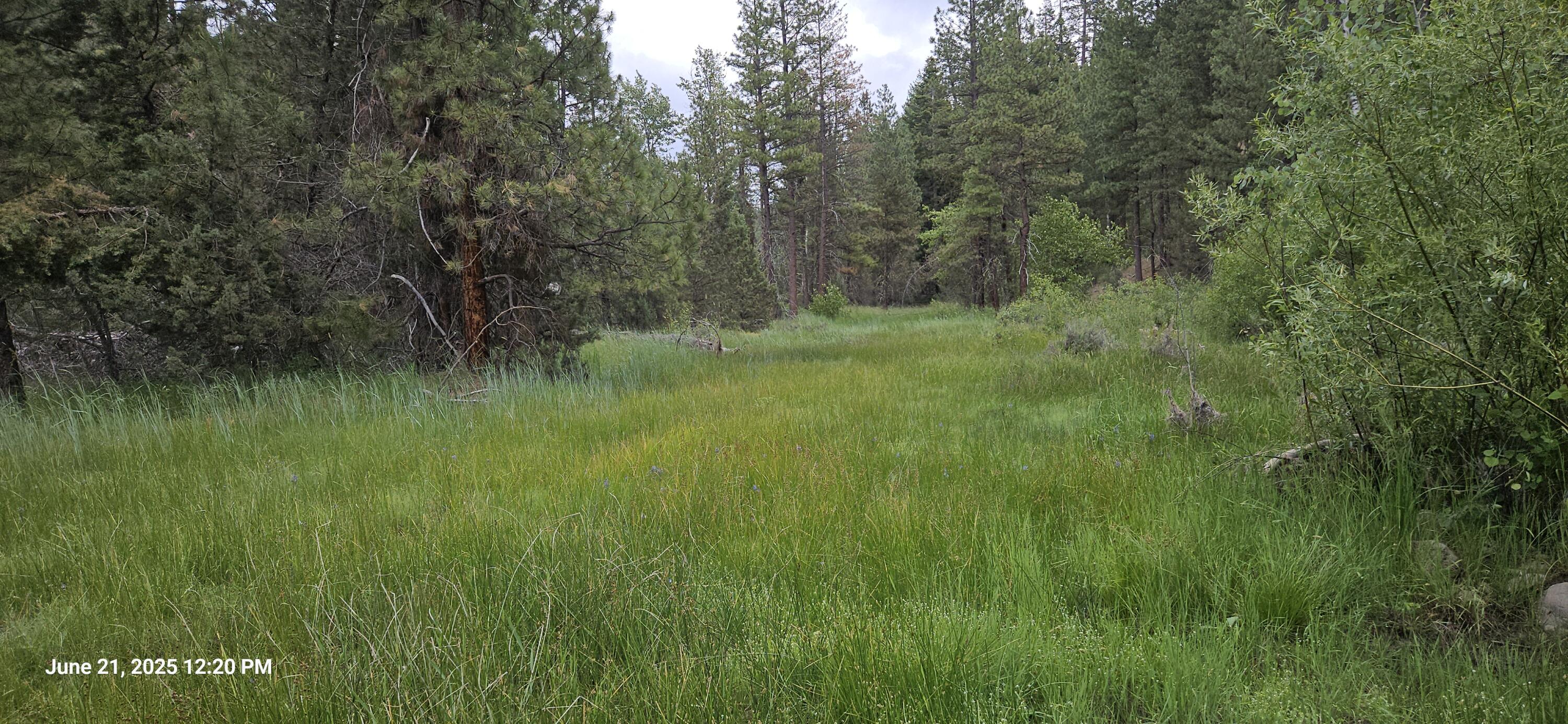 0 Chiloquin Ridge Road, Unit 1 Chiloquin, OR 97624 - Photo 9 of 46 1000019363