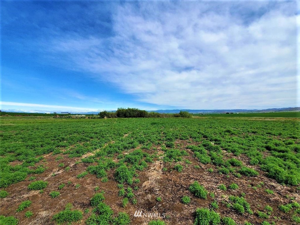 0 4th Parallel Road Ellensburg, WA 98926 - Photo 2 of 7 Gallery Image 2