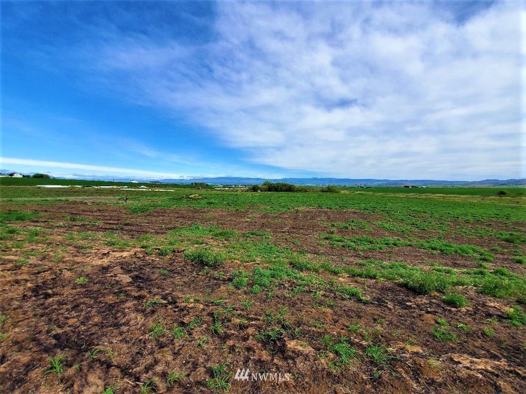 0 4th Parallel Road Ellensburg, WA 98926 - Photo 4 of 7 Gallery Image 4