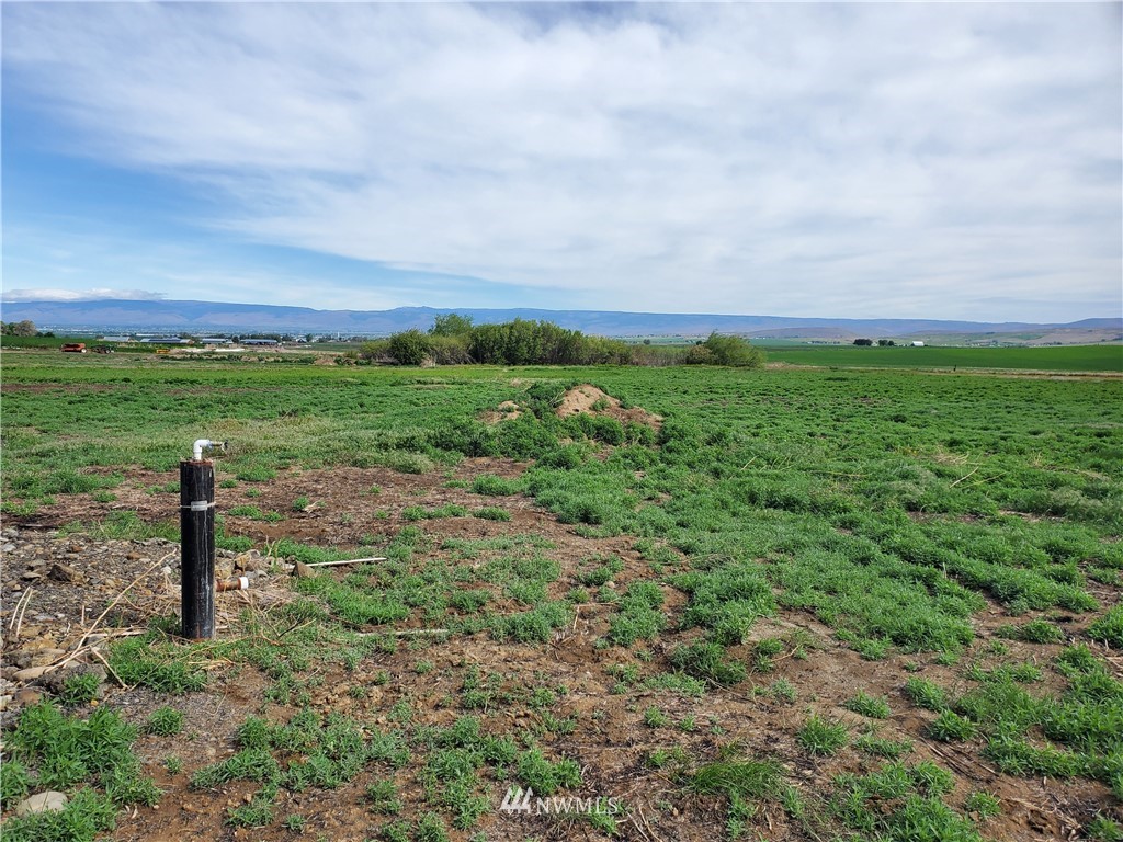 0 4th Parallel Road Ellensburg, WA 98926 - Photo 6 of 7 Gallery Image 6