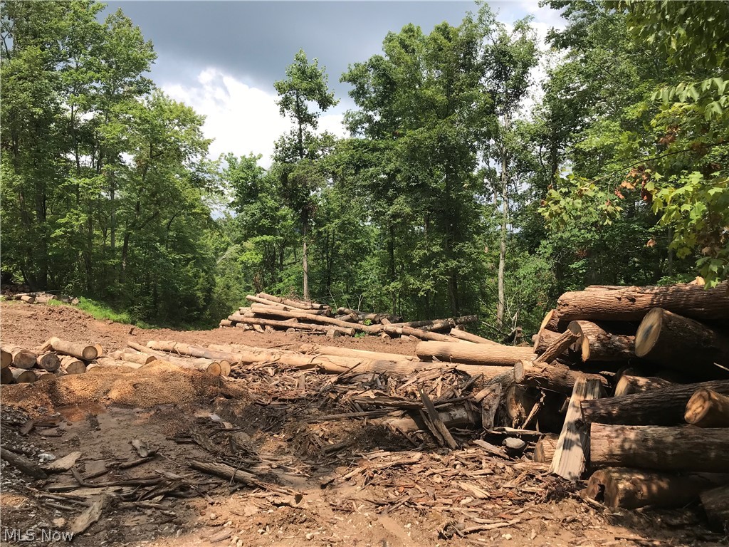 Cain Ridge Road Evans, WV 25241 - Photo 15 of 18