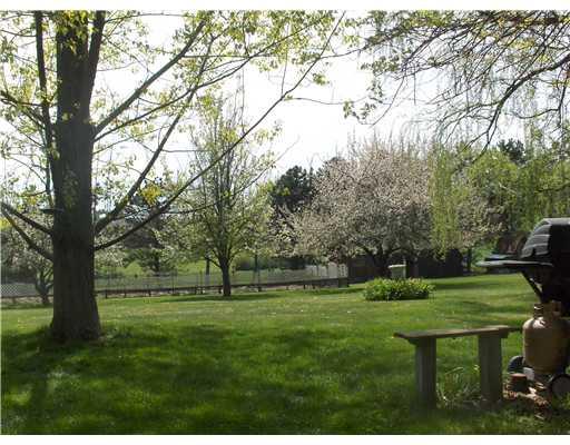 381 Raymaley Road Irwin, PA 15642 - Photo 2 of 18 Yard/Garden. MORE THAN ENOUGH SPACE TO GARDEN, PLAY OR JUST RELAX AND ENJOY THE PRIVACY.