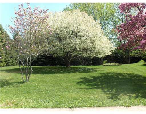 381 Raymaley Road Irwin, PA 15642 - Photo 3 of 18 Land/Lot. A PICTURE PERFECT LOT.