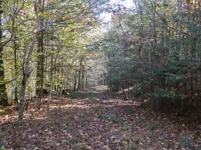 1 Shoemaker Ridge Zoe, KY 41397 - Photo 24 of 33 Photo 24