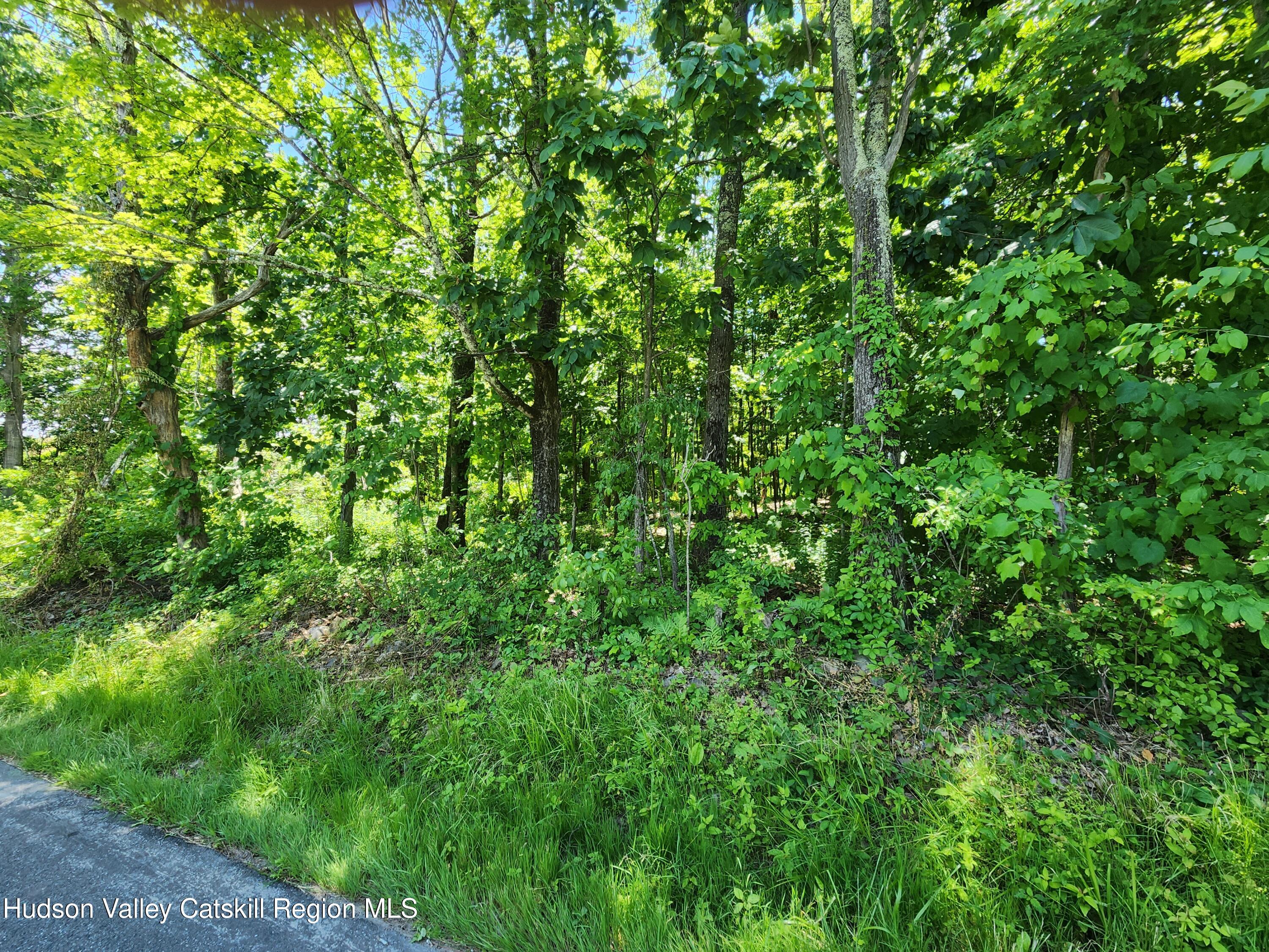 Tbd Irish Cape Road Ellenville, NY 12428 - Photo 2 of 16 a view of a lush green forest