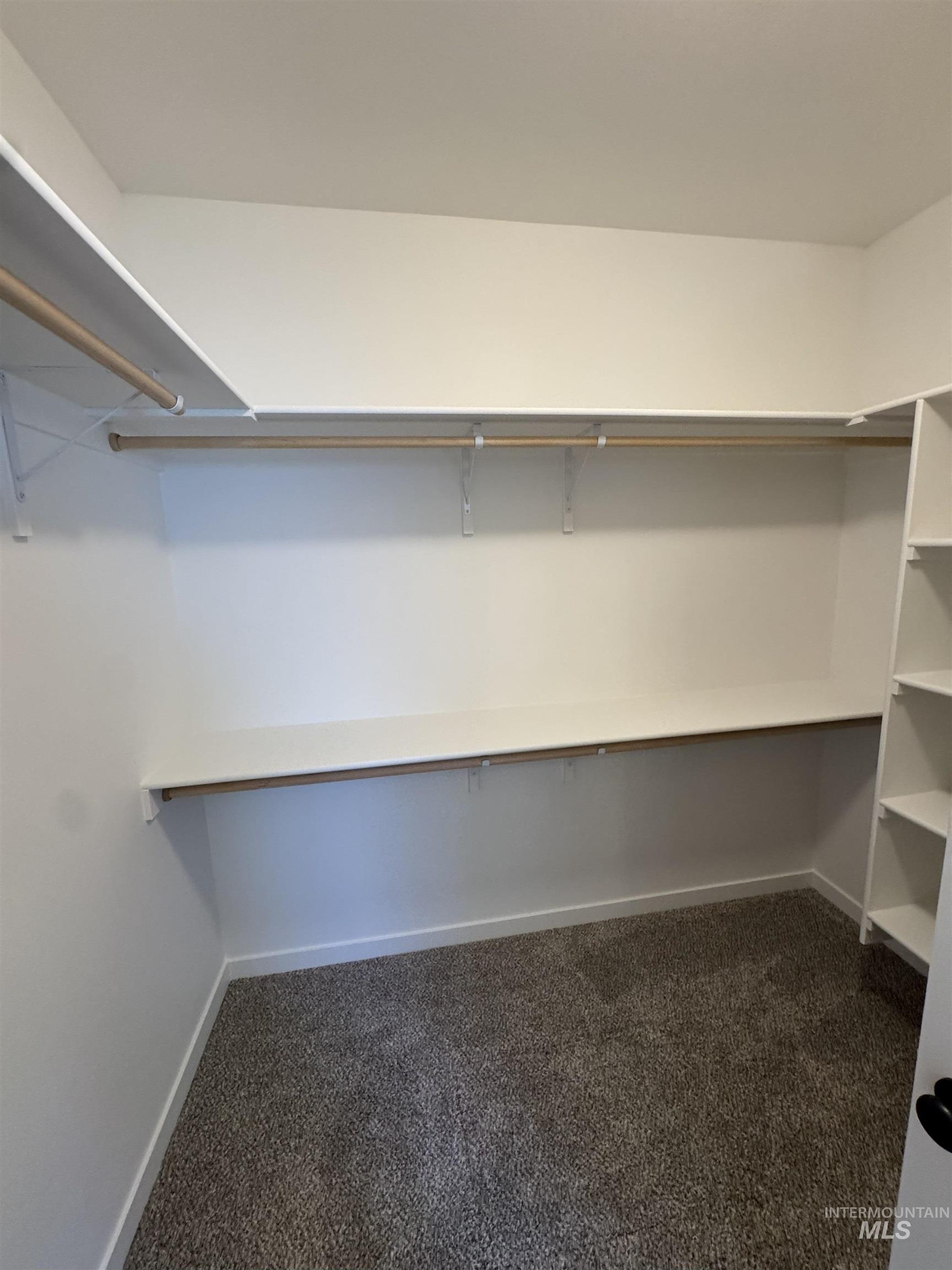 1295 Starlight Loop Twin Falls, ID 83301 - Photo 9 of 11 Walk in closet with dark colored carpet