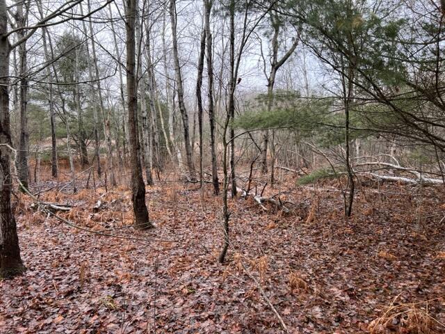 West Dotski Road Levering, MI 49755 - Photo 38 of 61 Gallery Image 38